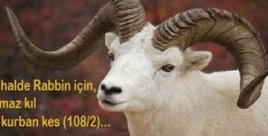 Kurban Kesme Konusu Ve Kur’an ın Emri.