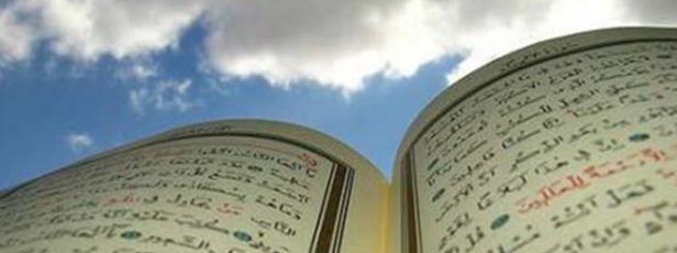 Bir Kitap Daha İnseydi!..
