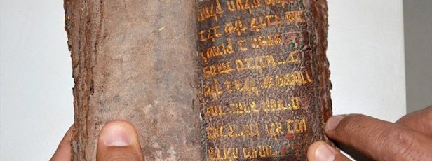 Kur’an piyasadaki Tevrat’ın bir hatasını daha düzeltiyor
