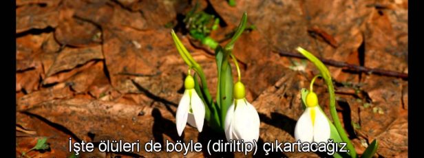 Araf Suresi 172,173. Ayetler. (Ben sizin Rabbiniz Değil Miyim)