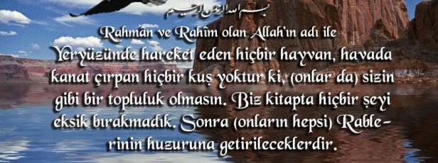 Enam Suresi 38. Biz Kitapta Hiç Bir Eksik Bırakmadık…