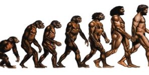Evrim Teorisi Tanrı’nın Varlığıyla Çelişir Mi?