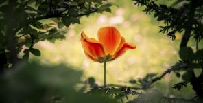 YENİ KURAN MUCİZELERİ TESPİTLERİ