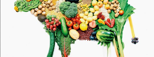 Kurban İbadeti ve Vegan/Vejeteryan İtirazların Değerlendirilmesi Üzerine